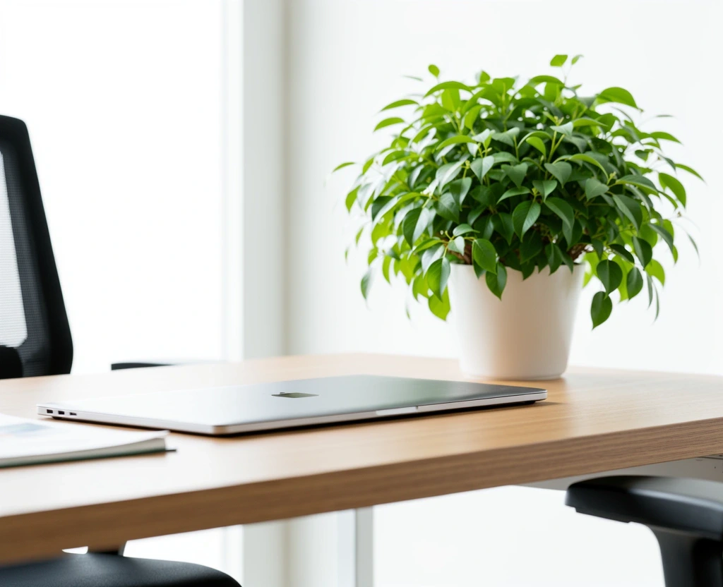 Nuestra transparencia